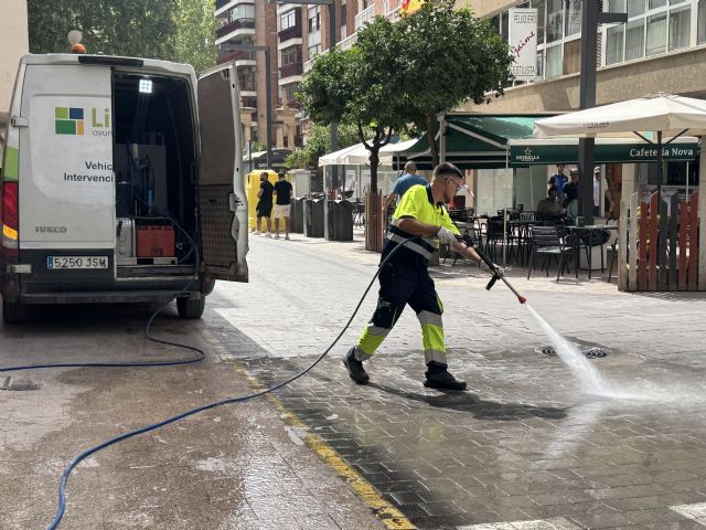Limusa lleva a cabo esta última semana trabajos de limpieza y acondicionamiento en espacios públicos con motivo de las actividades y celebraciones del verano - 5, Foto 5