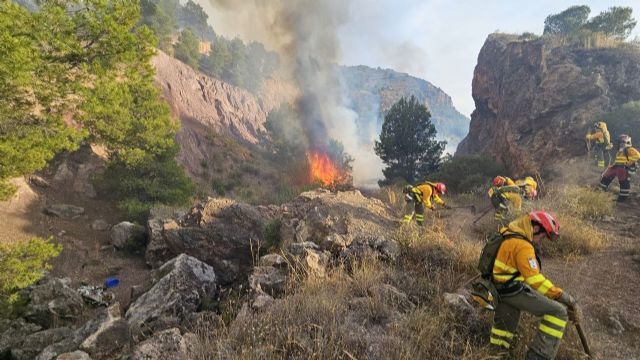Huermur denuncia al ayuntamiento de Murcia ante Transparencia por no facilitar el Plan Especial de Prevención de Incendios Forestales - 3, Foto 3