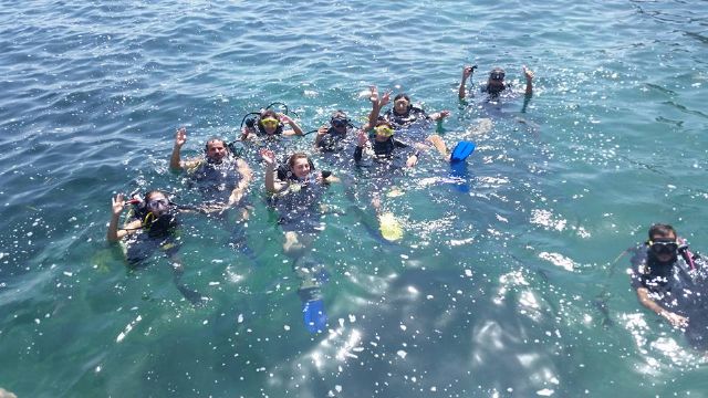 Un centenar de jóvenes disfruta de los bautismos de buceo y avistamientos de cetáceos, Foto 1