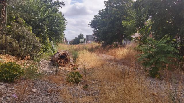 El PSOE denuncia el año perdido por Ballesta en la recuperación del antiguo trazado ferroviario entre Los Dolores y Zeneta - 2, Foto 2