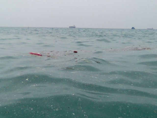 CTSSP: Las costas cartageneras siguen recibiendo impunemente vertidos y contaminación - 5, Foto 5