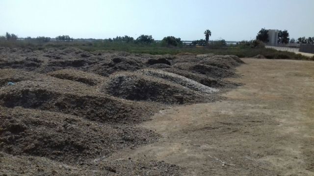 ANSE denuncia la roturación y vertido de arribazones dentro del humedal de importancia internacional del Mar Menor - 2, Foto 2