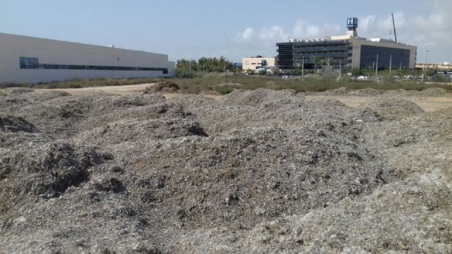 ANSE denuncia la roturación y vertido de arribazones dentro del humedal de importancia internacional del Mar Menor - 3, Foto 3