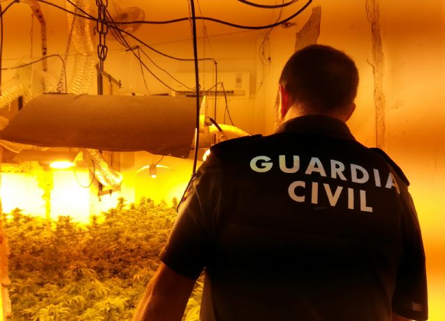 La Guardia Civil desmantela dos viviendas dedicadas al cultivo de plantas de marihuana en Cieza - 2, Foto 2