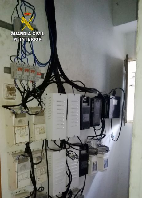 La Guardia Civil desmantela dos viviendas dedicadas al cultivo de plantas de marihuana en Cieza - 3, Foto 3