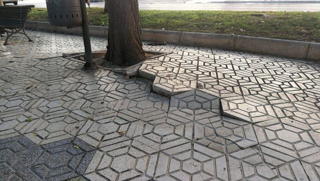 CTSSP llevará una iniciativa al pleno para exigir el arreglo de la alameda de San Antón - 1, Foto 1