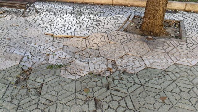 CTSSP llevará una iniciativa al pleno para exigir el arreglo de la alameda de San Antón - 3, Foto 3