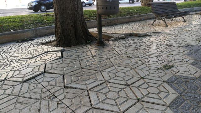 CTSSP llevará una iniciativa al pleno para exigir el arreglo de la alameda de San Antón - 4, Foto 4