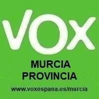 VOX presenta alegaciones al Proyecto de decreto del Observatorio regional contra la discriminación sexual e identidad de género en la Región de Murcia - 2, Foto 2
