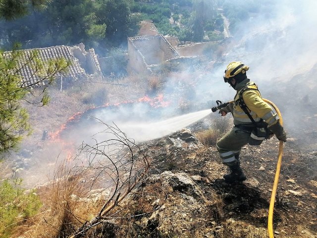 Dan por extinguido el conato de incendio forestal declarado esta tarde en Mula - 1, Foto 1