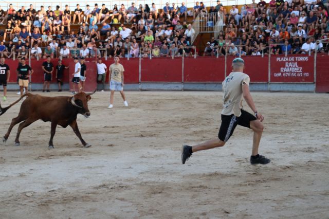 Multitudinaria suelta de vaquillas en las fiestas de Las Torres de Cotillas - 2, Foto 2