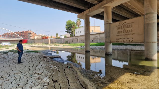 El PSOE denuncia el completo abandono del cauce urbano del río Guadalentín y exige una actuación inmediata a Fulgencio Gil - 2, Foto 2