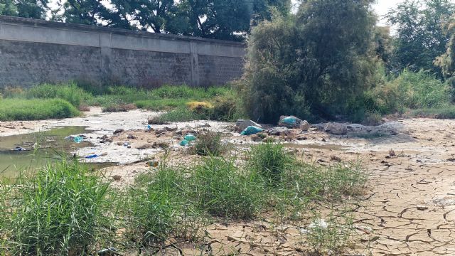 El PSOE denuncia el completo abandono del cauce urbano del río Guadalentín y exige una actuación inmediata a Fulgencio Gil - 4, Foto 4