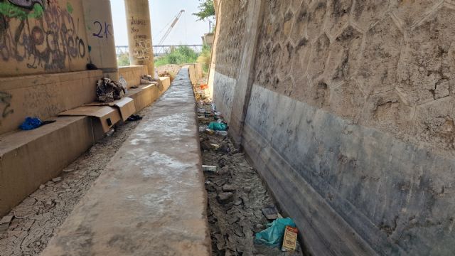 El PSOE denuncia el completo abandono del cauce urbano del río Guadalentín y exige una actuación inmediata a Fulgencio Gil - 5, Foto 5