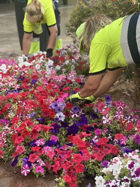 Torrevieja continúa mejorando sus zonas verdes con actuaciones de mantenimiento y renovación - 1, Foto 1