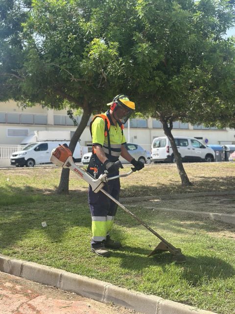 Torrevieja continúa mejorando sus zonas verdes con actuaciones de mantenimiento y renovación - 2, Foto 2