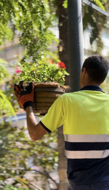 Torrevieja continúa mejorando sus zonas verdes con actuaciones de mantenimiento y renovación - 5, Foto 5