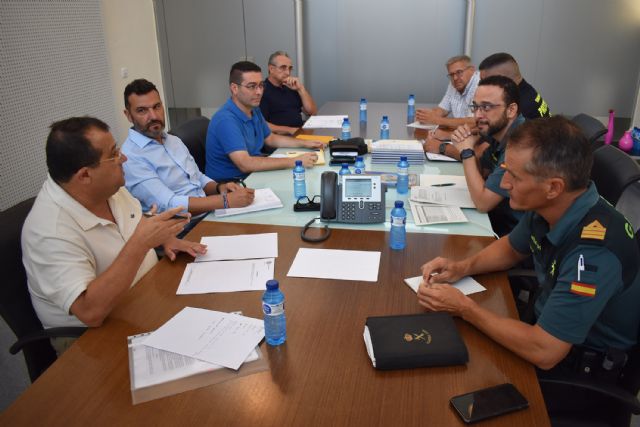 La junta local de seguridad confirma un fuerte descenso de la criminalidad - 3, Foto 3