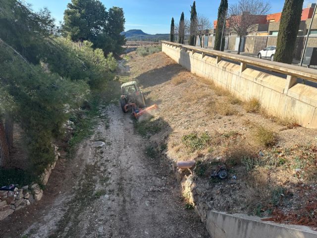 El Gobierno de Lorca realiza la mayor ejecución de desbroce de la historia en el municipio sumando cerca de 800 kilómetros de márgenes de carreteras y caminos - 5, Foto 5