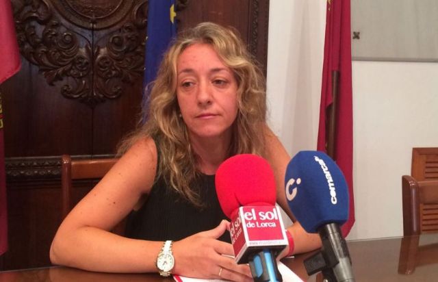 El PSOE denuncia que el IES Ros Giner sigue presentando importantes carencias un año después de su inauguración - 1, Foto 1