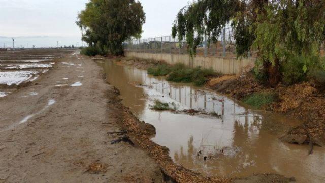 IU-V solicita en pleno la revisión y limpieza de los cauces y ramblas del término municipal - 1, Foto 1