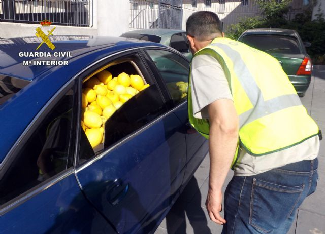 La Guardia Civil desmantela un nutrido grupo delictivo dedicado a la sustraccin de limones en el Valle del Guadalentn, Foto 3