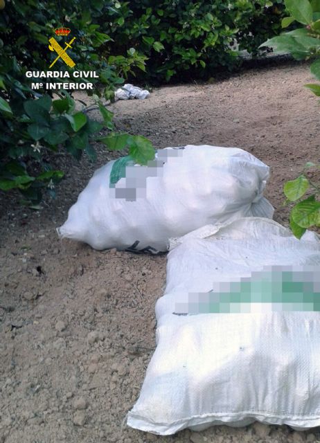 La Guardia Civil desmantela un nutrido grupo delictivo dedicado a la sustracción de limones en el Valle del Guadalentín, Foto 5