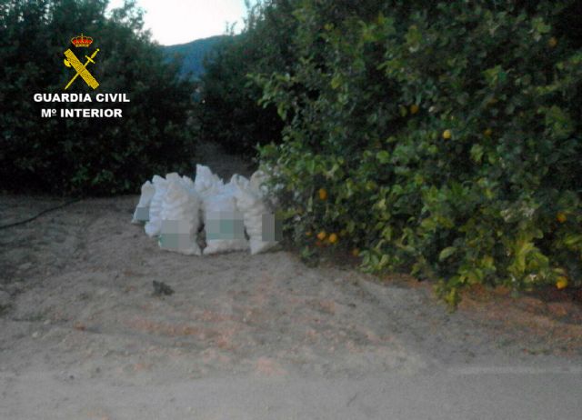 La Guardia Civil desmantela un nutrido grupo delictivo dedicado a la sustracción de limones en el Valle del Guadalentín, Foto 6