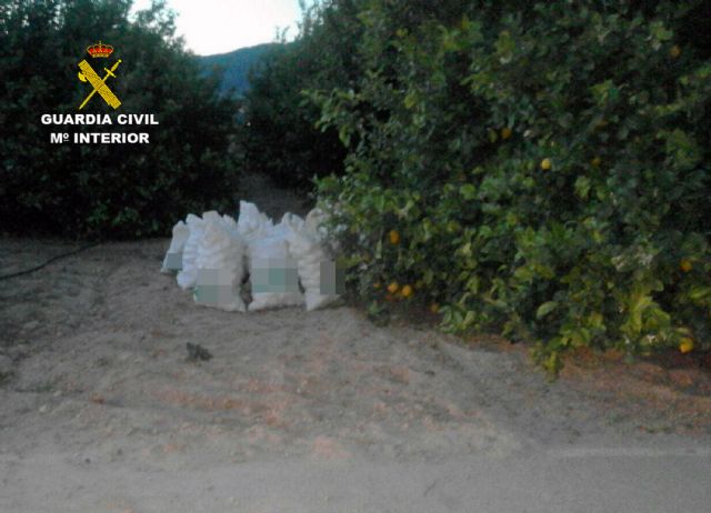 La Guardia Civil desmantela un nutrido grupo delictivo dedicado a la sustraccin de limones en el Valle del Guadalentn, Foto 6