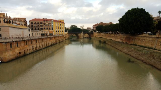 La Confederación Hidrográfica detecta la presencia de hidrocarburos, plaguicidas, fungicidas y pesticidas en el tramo urbano del Segura - 2, Foto 2