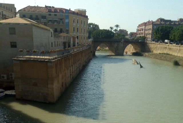Ahora Murcia reitera que se debe garantizar que el tramo urbano del río sea saludable y seguro si se desean realizar actividades lúdicas o deportivas en su cauce - 1, Foto 1