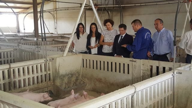 Agricultura invierte casi 400.000 euros en actuaciones de depuración y saneamiento en el municipio de Puerto Lumbreras - 2, Foto 2