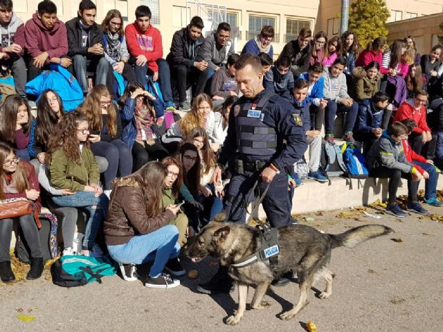 La Policía Local de Lorca despide con cariño a Dody, uno de los perros fundadores de la Unidad Canina del municipio - 3, Foto 3