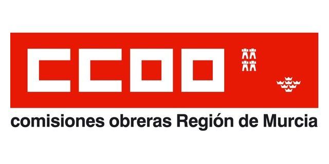 CCOO Enseanza calls the public school teaching workers to strike before the misrule of the Ministry of Education, Foto 1
