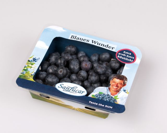 Nature Punnet: el innovador envase sostenible de SanLucarpara bayas - 1, Foto 1