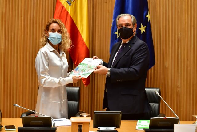 Meritxell Batet: Debemos aprovechar el consenso social y político en torno a las farmacias para reforzar su capacidad y profesionalidad - 1, Foto 1