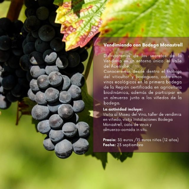 Segundo fin de semana de Fiestas del Vino 2023 - 2, Foto 2