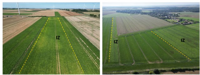 La división de azúcar de Südzucker y Fertiberia se alían para descarbonizar la producción europea de remolacha azucarera - 1, Foto 1