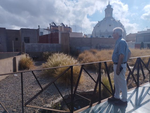 MC Cartagena exige la erradicación inmediata de una especie invasora en parques y jardines municipales - 1, Foto 1