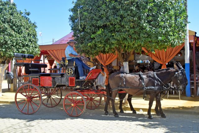 La devoción a San Gregorio protagoniza las fiestas de Alcalá del Río 2025 - 3, Foto 3