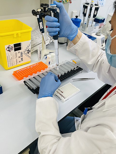 Los hospitales Morales Meseguer y Reina Sofía unen sus recursos de investigación con la creación de una Unidad coordinada conjunta - 1, Foto 1