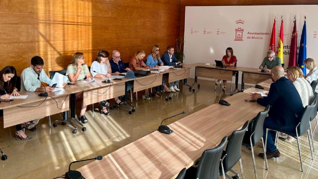 Murcia será pionera en España al integrarse en la Red Europea de Ciudades de la Salud Mental - 1, Foto 1