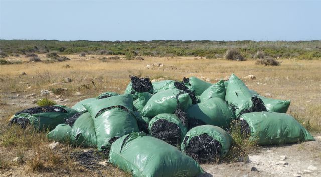 Los próximos vertederos de rafia - 1, Foto 1