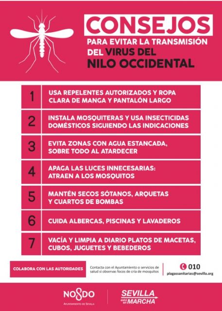 Sevilla llama a extremar las precauciones frente a las picaduras de mosquitos - 2, Foto 2