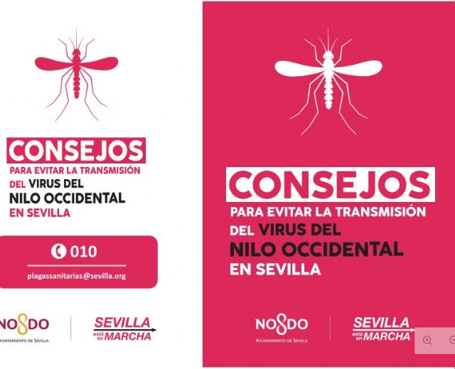 Sevilla llama a extremar las precauciones frente a las picaduras de mosquitos - 5, Foto 5