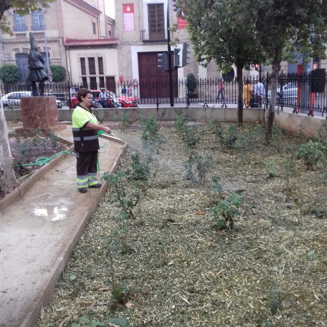 Comienza la poda de más de 20.000 moreras - 2, Foto 2