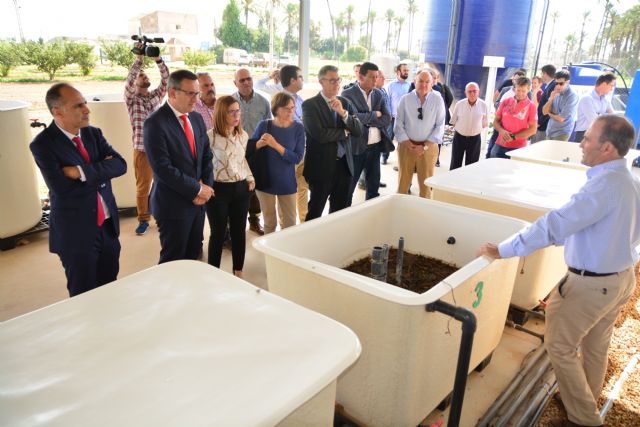 La Cátedra de Agricultura Sostenible pide reabrir pozos para probar la desnitrificación en parcelas de cultivo - 2, Foto 2