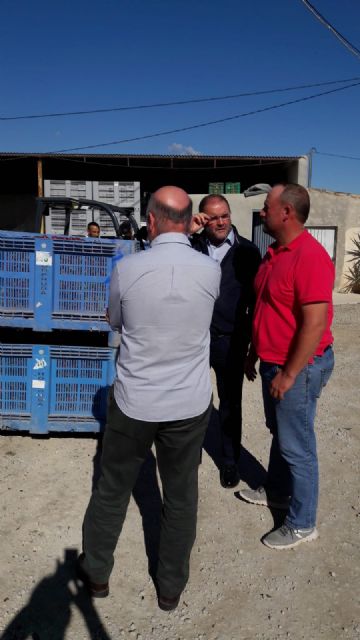 Álvarez Castellanos, Coordinador Regional de IU en la Región de Murcia, visita en Totana una empresa productora de pimiento para pimentón, Foto 5