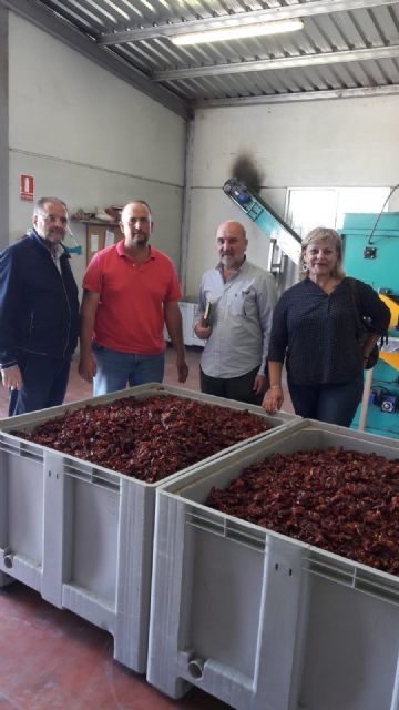 Álvarez Castellanos, Coordinador Regional de IU en la Región de Murcia, visita en Totana una empresa productora de pimiento para pimentón, Foto 8