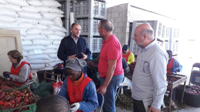 Álvarez Castellanos, Coordinador Regional de IU en la Región de Murcia, visita en Totana una empresa productora de pimiento para pimentón, Foto 9